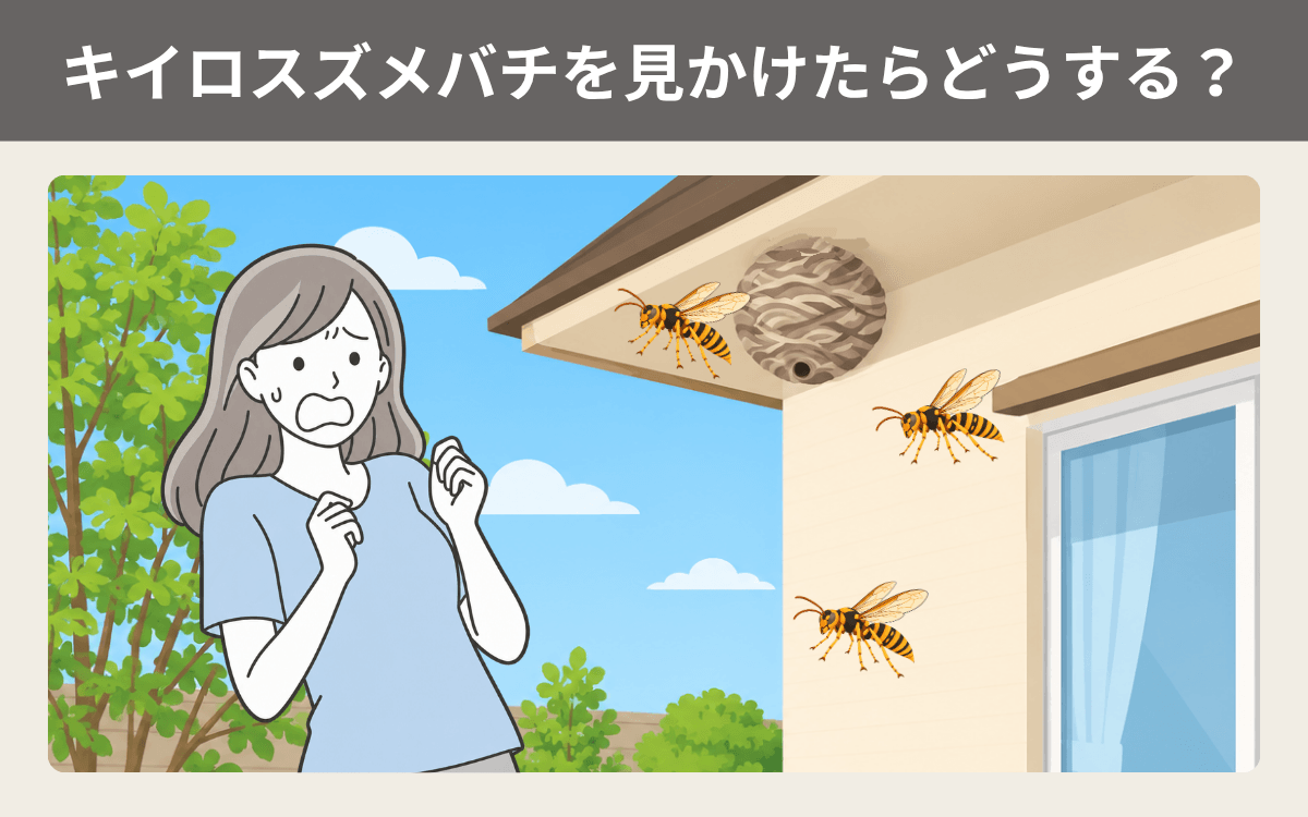 キイロスズメバチを見かけたらどうする？