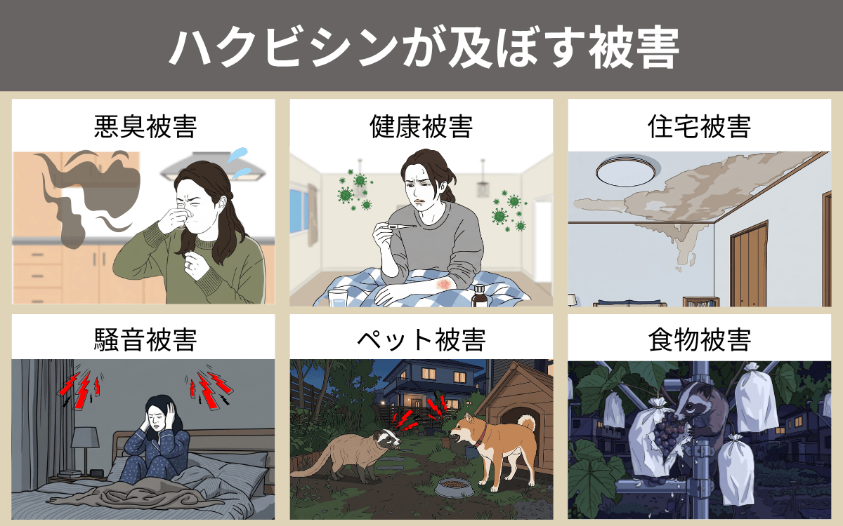 ハクビシンが及ぼす被害