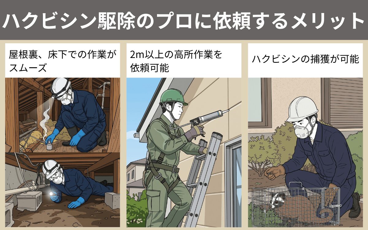 ハクビシン駆除のプロに依頼するメリット