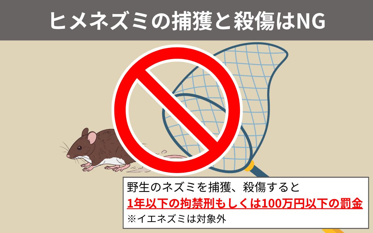 ヒメネズミの捕獲と殺傷はNG