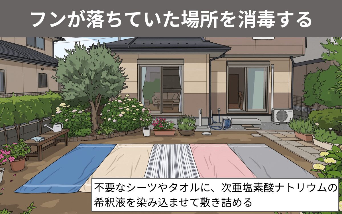 フンが落ちていた場所を消毒する
