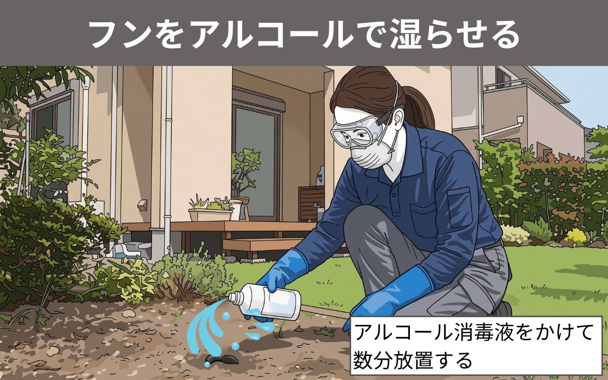 フンをアルコールで湿らせる
