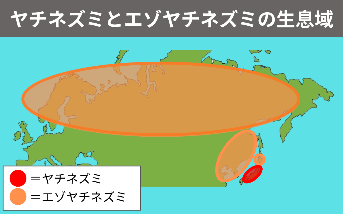 ヤチネズミとエゾヤチネズミの生息域