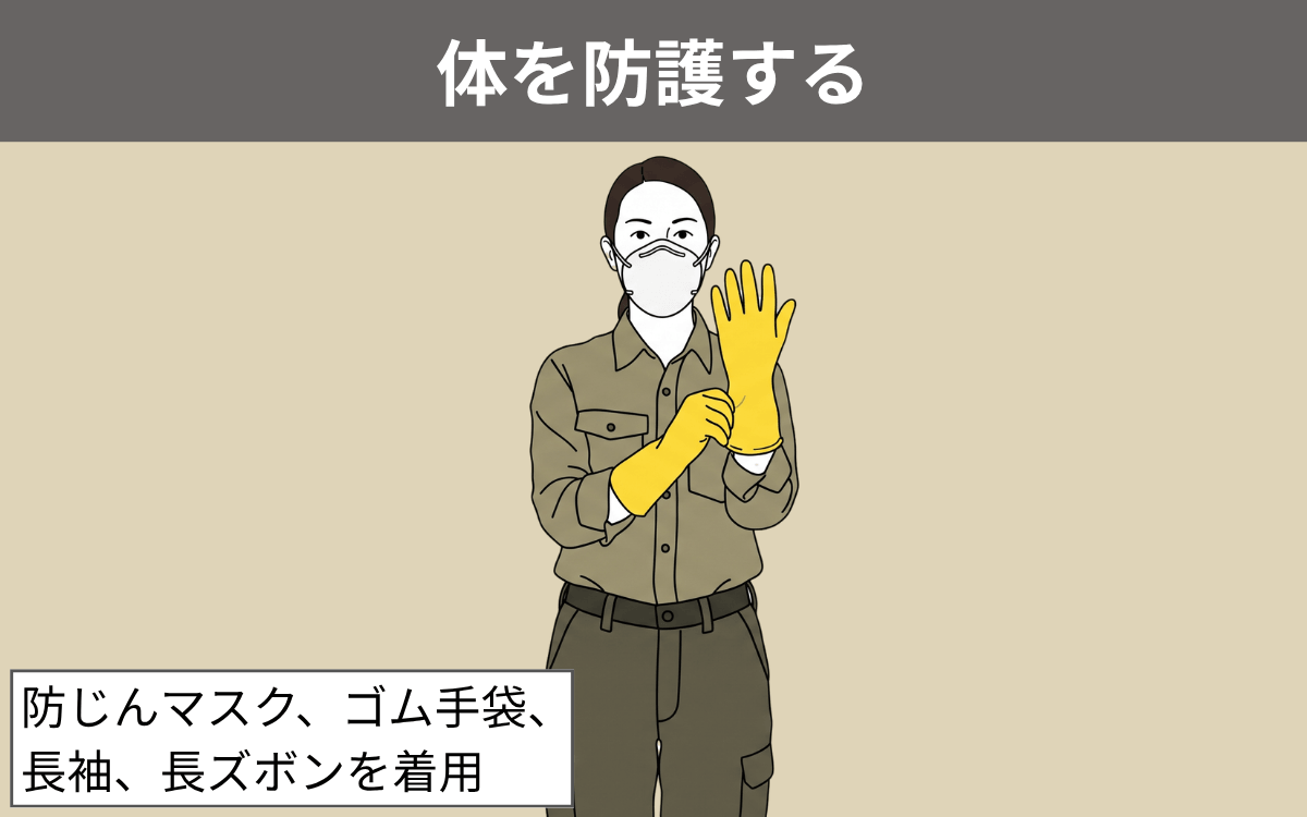 体を防護する ハクビシン