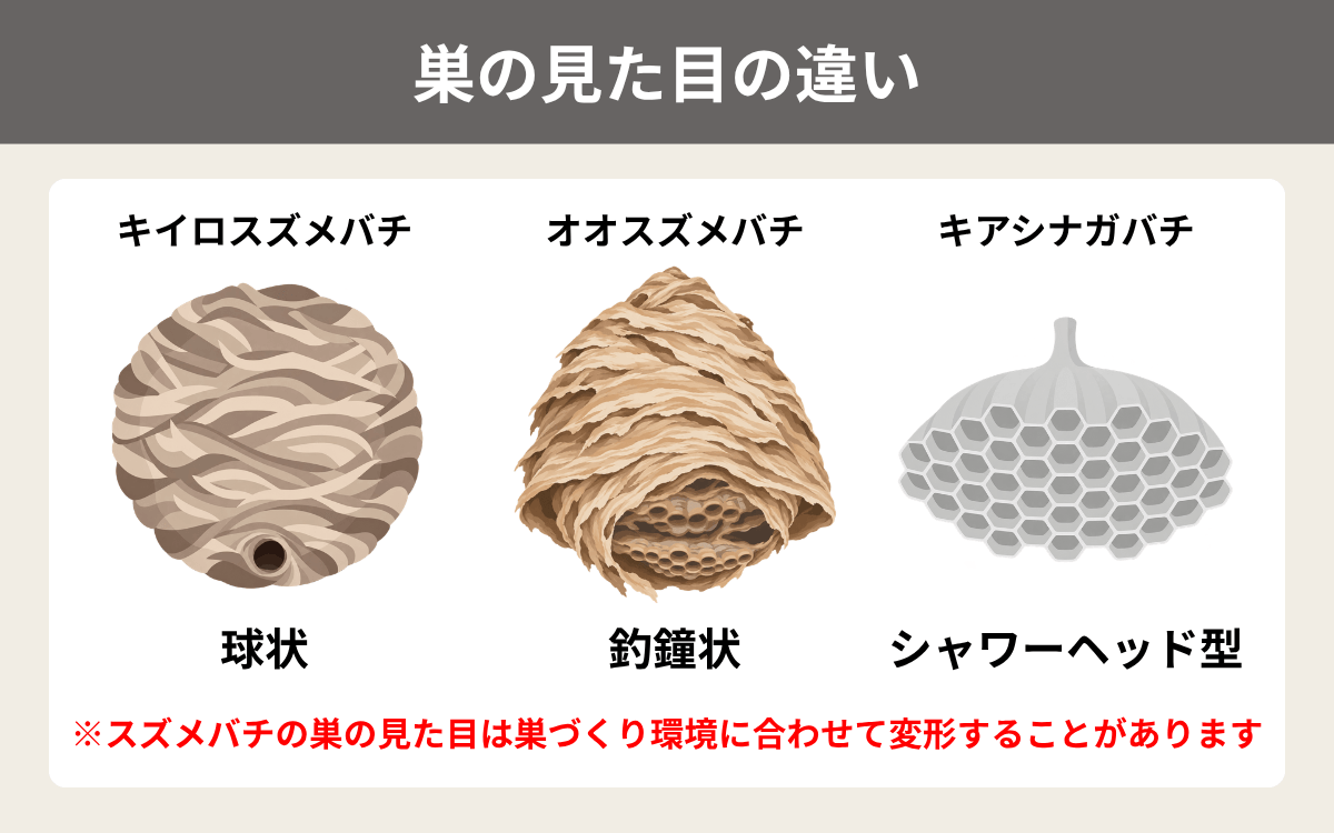 巣の見た目の違い