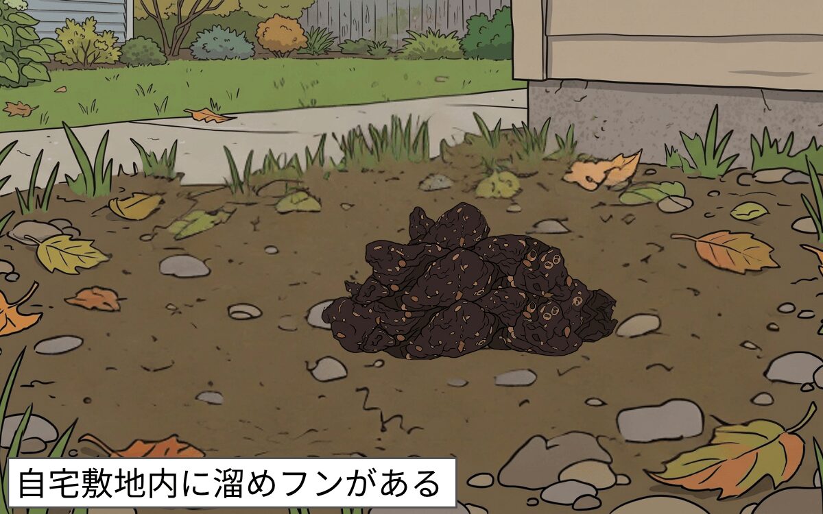 自宅敷地内にフンがある