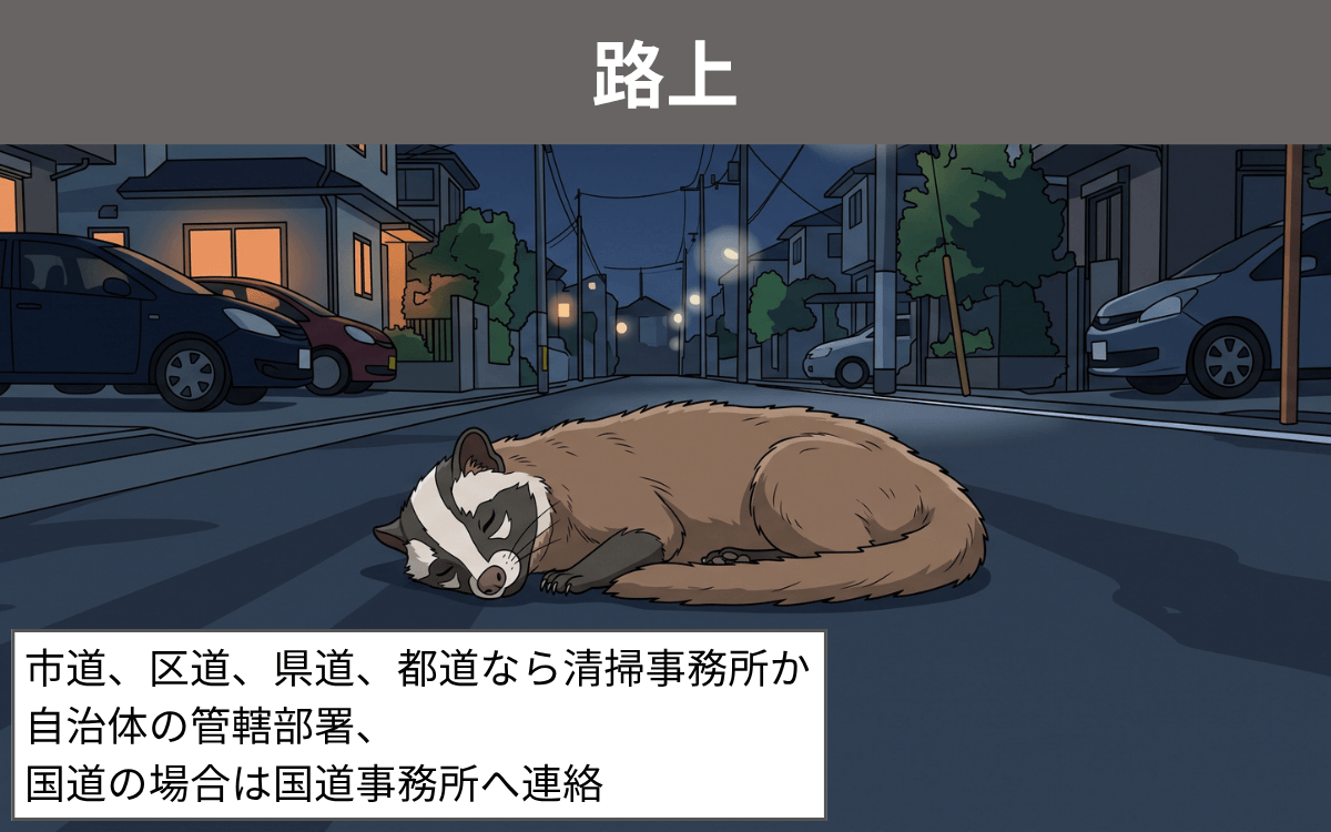 路上 ハクビシン