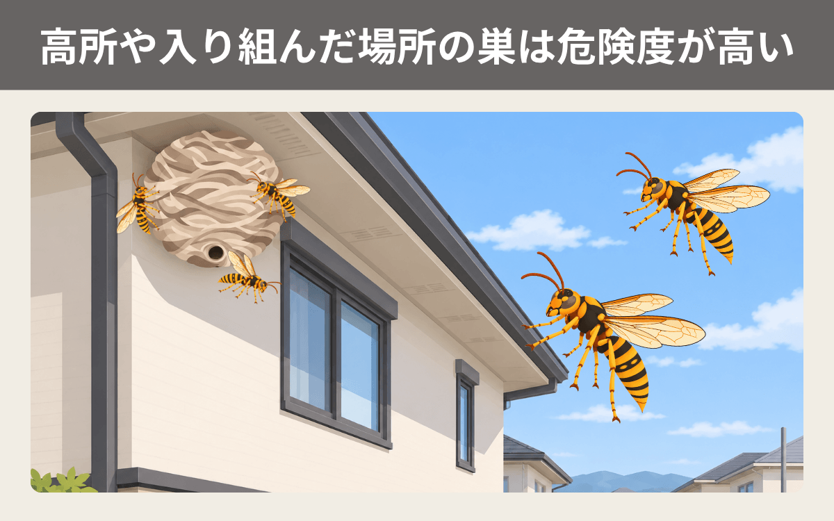 高所や入り組んだ場所の巣は危険度が高い