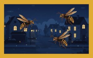 夜にも活動するモンスズメバチ｜巣の場所や駆除方法も解説
