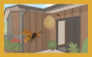 【保存版】スズメバチ対策グッズ5選！自作できる対策も紹介