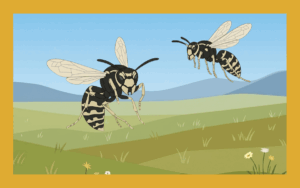 シロオビホオナガスズメバチとは？巣の場所や駆除方法も解説