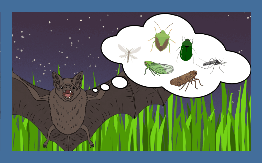 コウモリはなぜ家に？エサの虫と寄せ付けない方法を解説