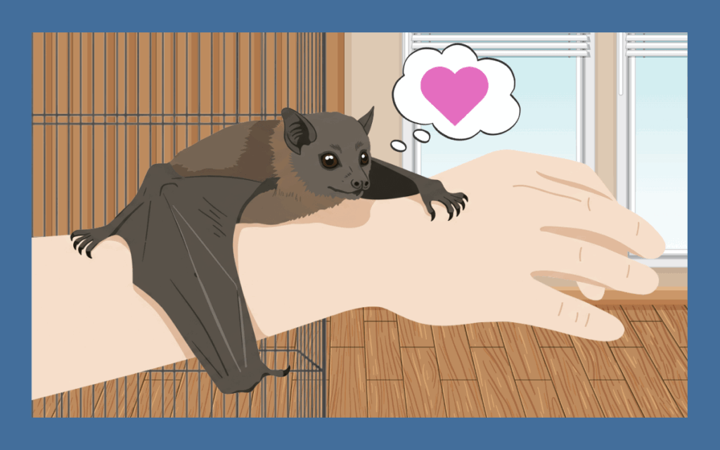 コウモリはペットとして飼える！飼育可能な種類と注意点