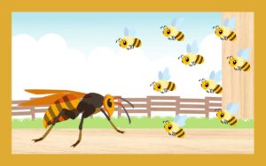 スズメバチの天敵にミツバチは入る？命がけの対抗戦略
