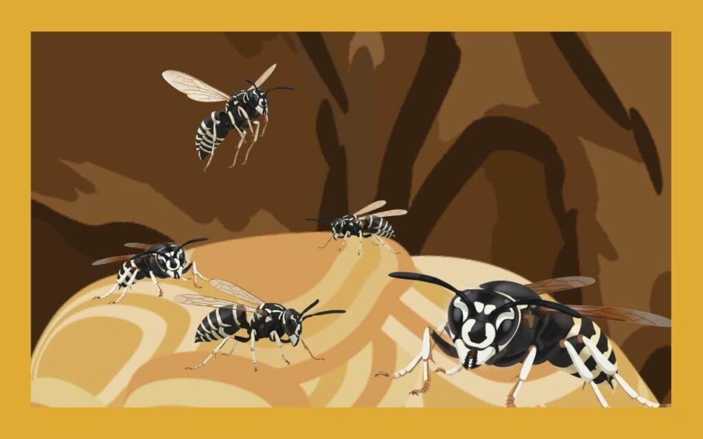 シダクロスズメバチに遭遇したら？巣の場所や駆除方法も解説