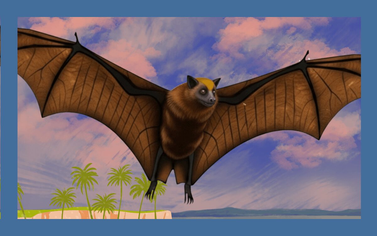 世界最大？フィリピンオオコウモリは実在する！実態を解説 - 害虫・害