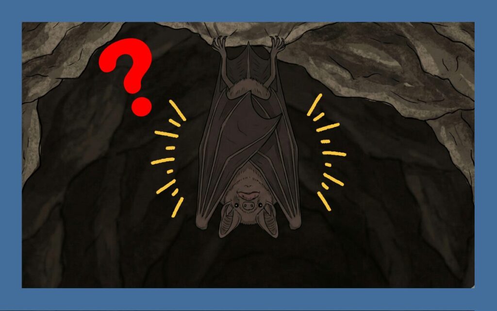 コウモリの驚きの生態に迫る！かわいいだけじゃない一面も！？