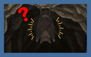 コウモリの驚きの生態に迫る！かわいいだけじゃない一面も！？