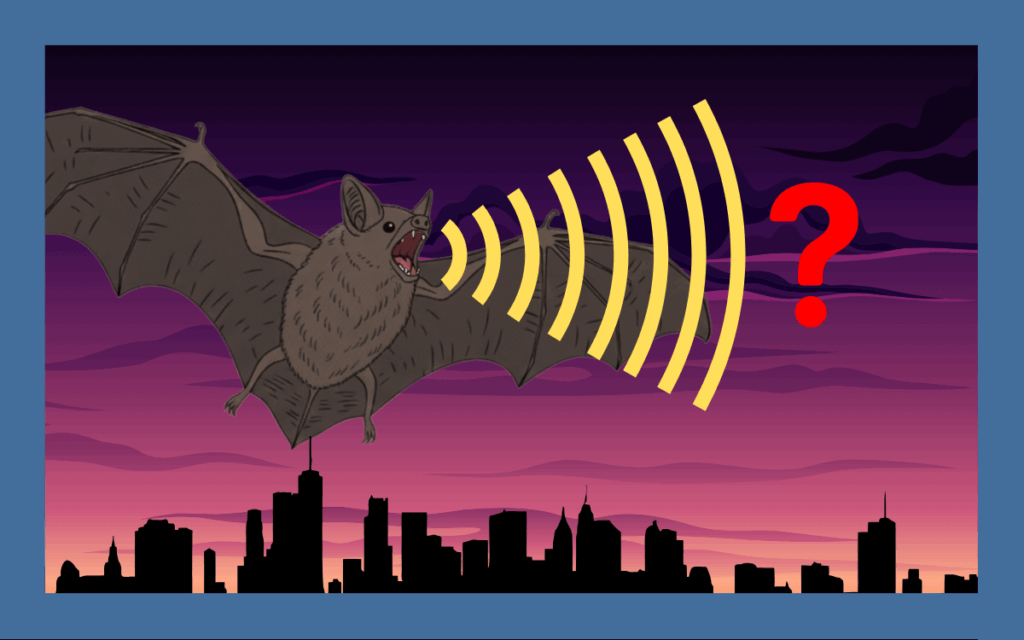コウモリの鳴き声はキーキー！ネズミとの見分け方も解説
