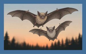 テングコウモリとコテングコウモリの違いを徹底解説！