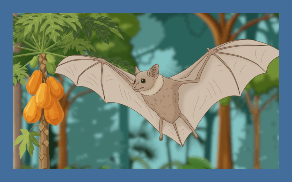 オオコウモリの生態を解説！日本や世界に生息する種を紹介