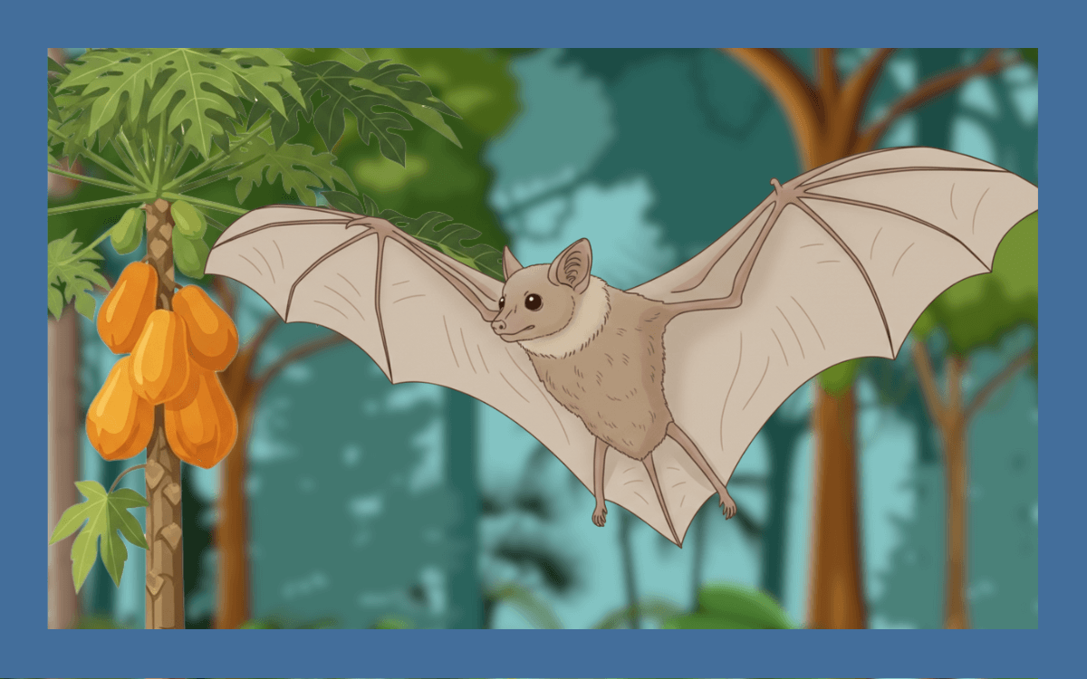 オオコウモリの生態を解説！日本や世界に生息する種を紹介 - 害虫・害