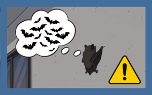 コウモリが1匹いたら赤信号！複数棲みついているサインとは
