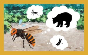 スズメバチの天敵を網羅！暮らしに役立つ対策方法も紹介