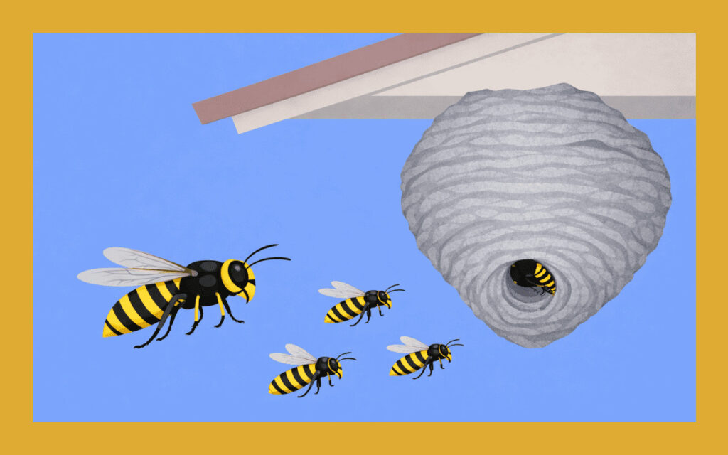 キオビホオナガスズメバチとは？巣の場所や駆除方法も解説