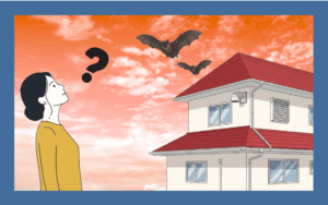 コウモリが夕方飛んでいるのはなぜ？家に来る理由から対策まで