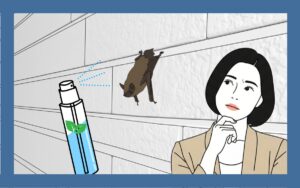 コウモリ駆除でハッカ油の過信はNO！正しい作り方・使い方