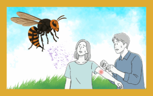 スズメバチの毒による人生の終焉｜応急処置について解説