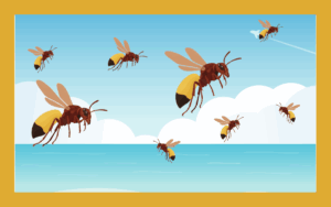 ツマグロスズメバチは沖縄のハチ？生態や危険性も解説