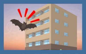 マンションにコウモリがいても自己判断NG！正しい対応方法