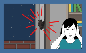 壁の中の音はコウモリか！？侵入理由と駆除方法を解説