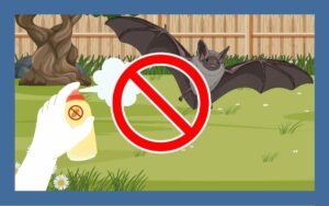 コウモリに殺虫剤は意味がない！正しい追い出し方法を伝授