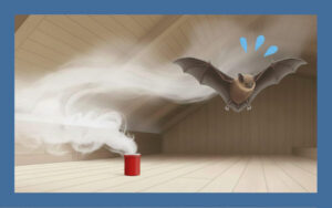 コウモリはくん煙剤“だけ”じゃ駆除できない！正しい方法とは