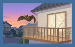 コウモリよけ防獣ネットの効果はいかに？正しい対策で自宅を守る