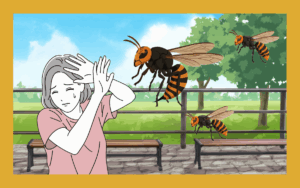 スズメバチの針は何が危険？刺されたときの対処法も解説